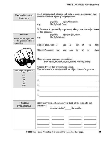 Image of Grammar Essentials (Download)