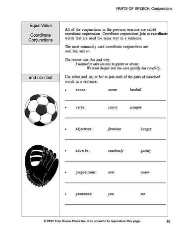 Image of Grammar Essentials (Download)