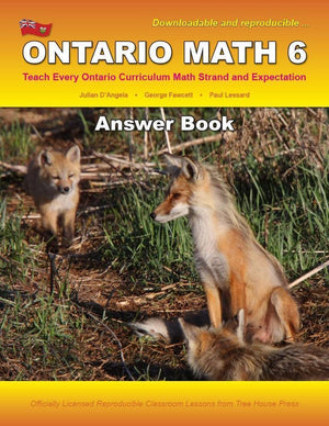 Ontario Math 6 Answer Book (Download)